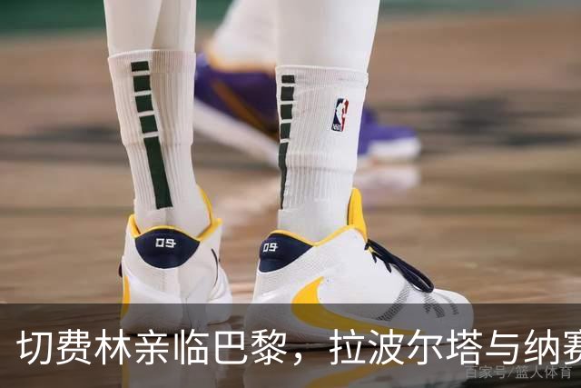 切费林亲临巴黎，拉波尔塔与纳赛尔重建和谐关系