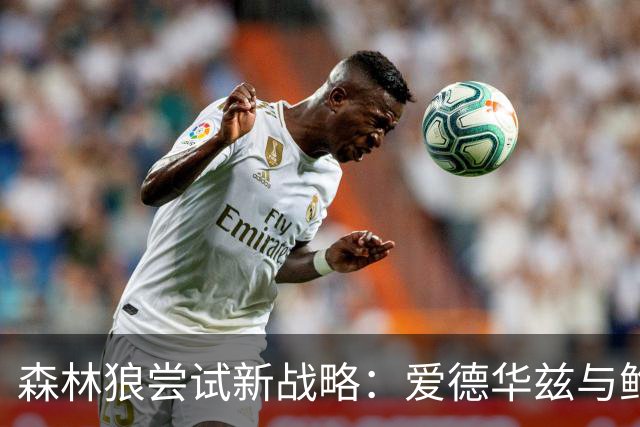 森林狼尝试新战略：爱德华兹与鲍尔交替指挥战斗
